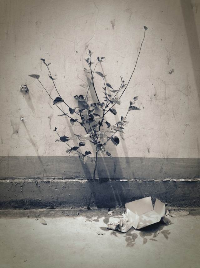 yikees的个人主页（背景预览） - 主页背景设置 - 站酷设计师yikees原创素材 - 站酷ZCOOL