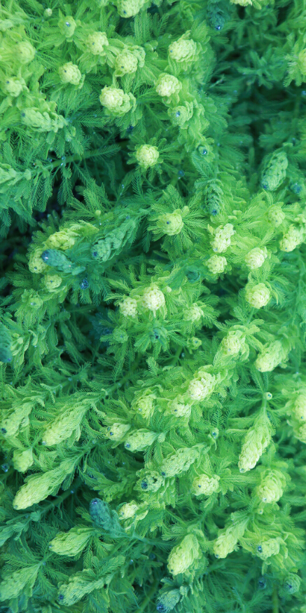 hgeir的个人主页（背景预览） - 主页背景设置 - 站酷设计师hgeir原创素材 - 站酷ZCOOL