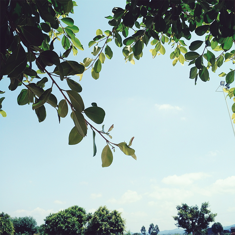 sunny_程的個(gè)人主頁（背景預(yù)覽） - 主頁背景設(shè)置 - 站酷設(shè)計(jì)師sunny_程原創(chuàng)素材 - 站酷ZCOOL