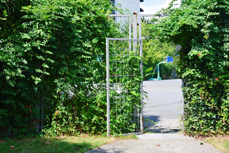 了了Mia的個人主頁（背景預(yù)覽） - 主頁背景設(shè)置 - 站酷設(shè)計師了了Mia原創(chuàng)素材 - 站酷ZCOOL