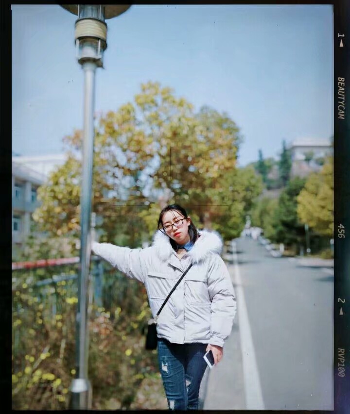 锡兰花儿的个人主页（背景预览） - 主页背景设置 - 站酷设计师锡兰花儿原创素材 - 站酷ZCOOL