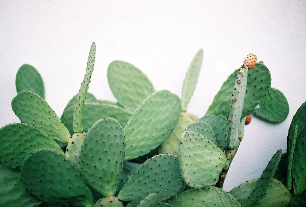 美艺儿的个人主页（背景预览） - 主页背景设置 - 站酷设计师美艺儿原创素材 - 站酷ZCOOL