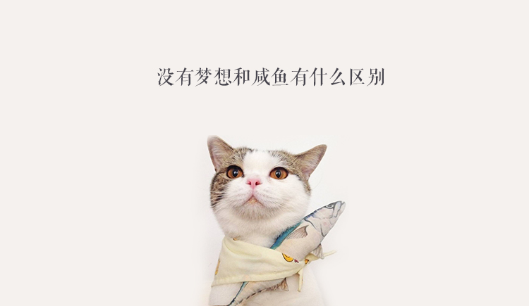 漏馅汤圆的个人主页（背景预览） - 主页背景设置 - 站酷设计师漏馅汤圆原创素材 - 站酷ZCOOL