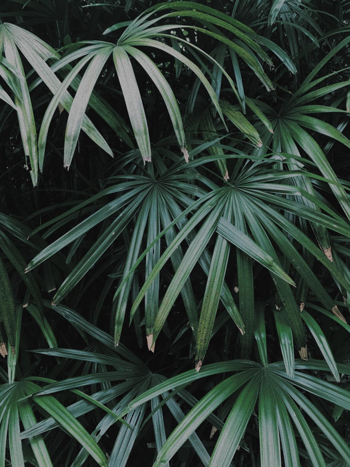 吴小顷的个人主页（背景预览） - 主页背景设置 - 站酷设计师吴小顷原创素材 - 站酷ZCOOL