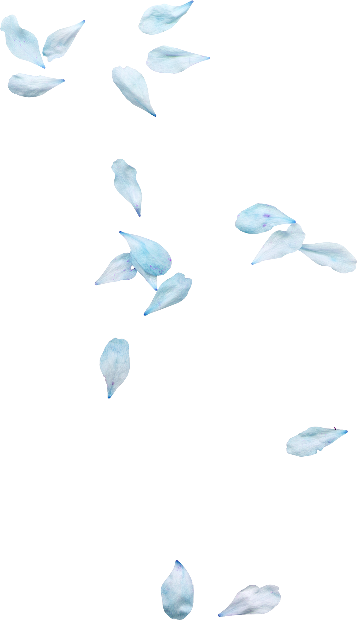 丿吾皇丶Winy的个人主页（背景预览） - 主页背景设置 - 站酷设计师丿吾皇丶Winy原创素材 - 站酷ZCOOL