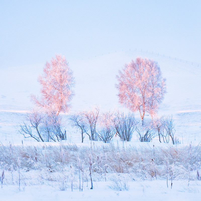 韓洛雅美的个人主页（背景预览） - 主页背景设置 - 站酷设计师韓洛雅美原创素材 - 站酷ZCOOL
