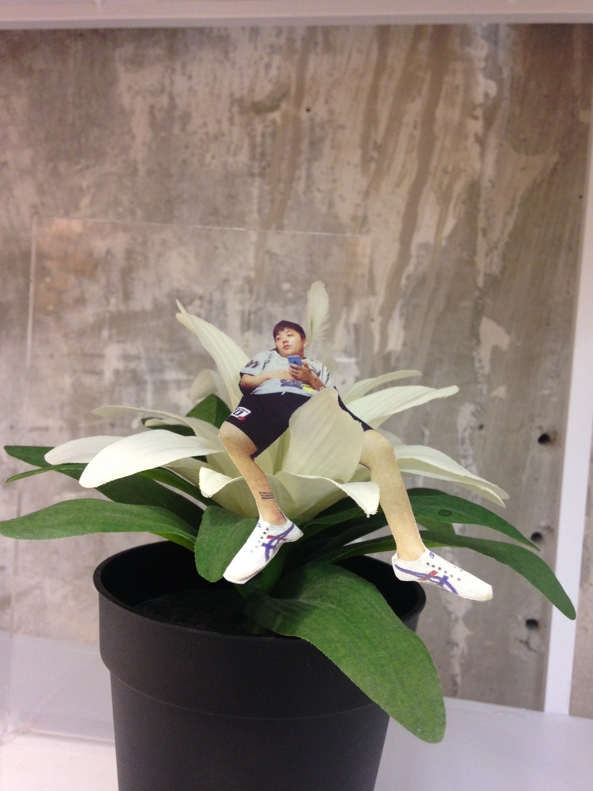 RAAKU的个人主页（背景预览） - 主页背景设置 - 站酷设计师RAAKU原创素材 - 站酷ZCOOL