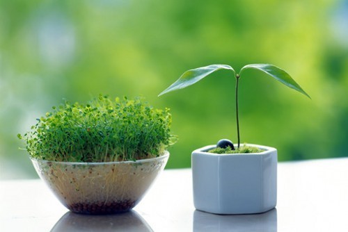 烏蘭塔娜的個人主頁（背景預覽） - 主頁背景設(shè)置 - 站酷設(shè)計師烏蘭塔娜原創(chuàng)素材 - 站酷ZCOOL