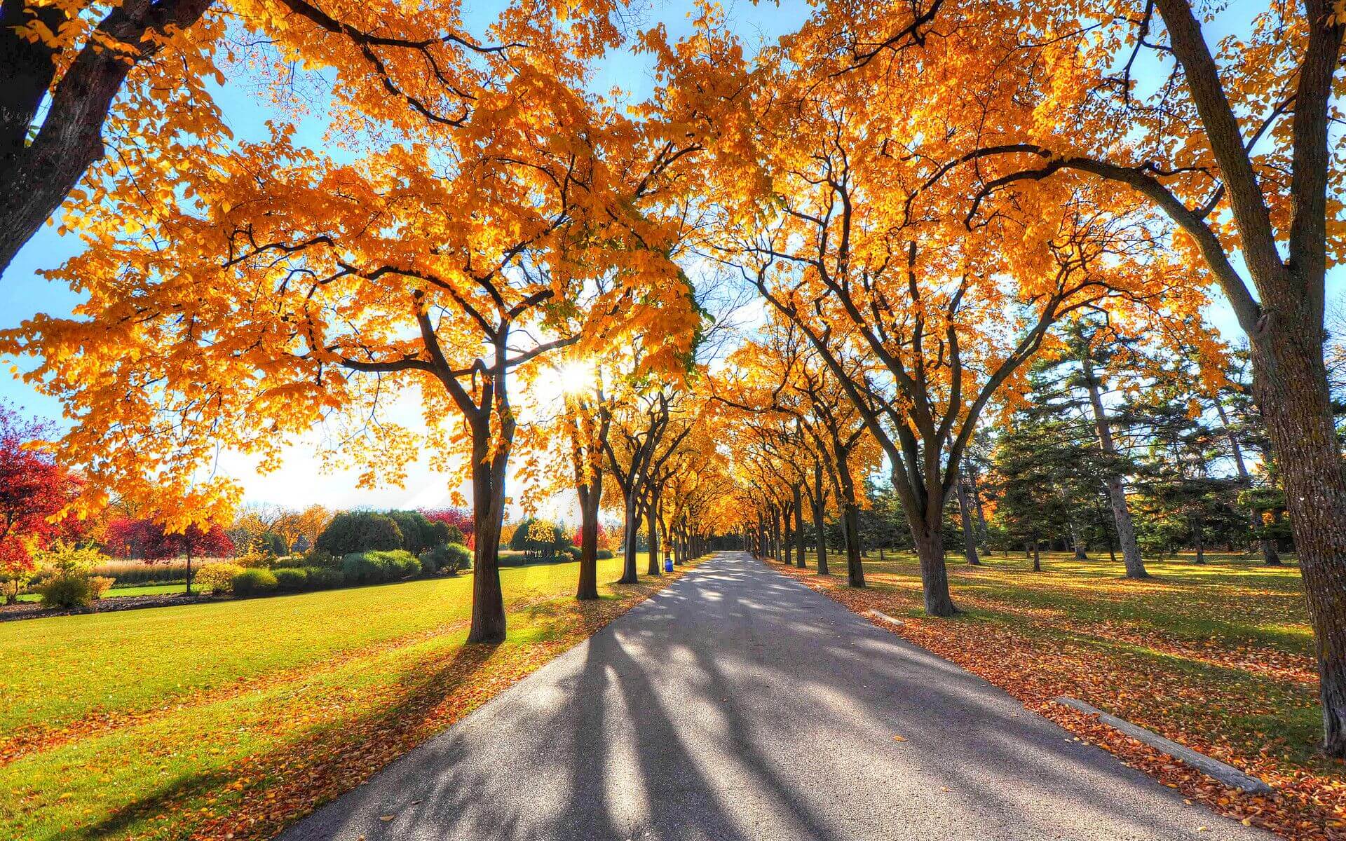 古城萧笙的个人主页（背景预览） - 主页背景设置 - 站酷设计师古城萧笙原创素材 - 站酷ZCOOL