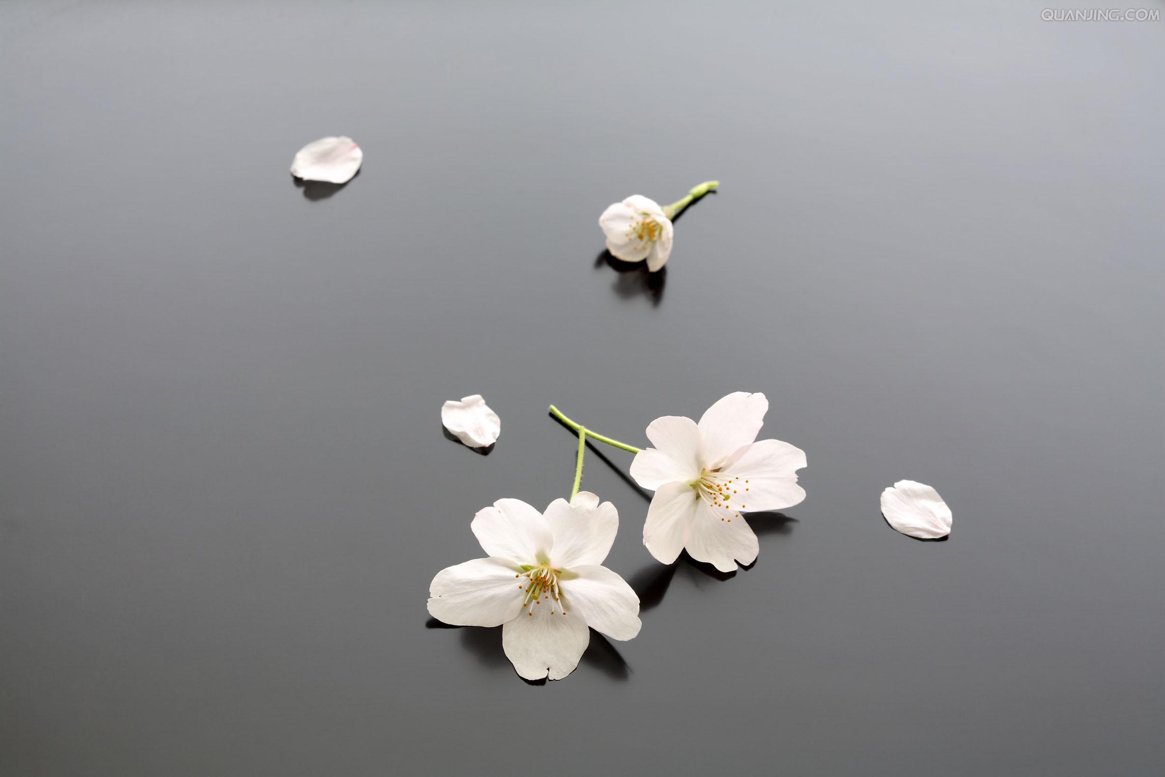 Demain8876的個(gè)人主頁(yè)（背景預(yù)覽） - 主頁(yè)背景設(shè)置 - 站酷設(shè)計(jì)師Demain8876原創(chuàng)素材 - 站酷ZCOOL