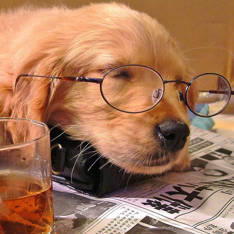 禾麥的個人主頁（背景預(yù)覽） - 主頁背景設(shè)置 - 站酷設(shè)計師禾麥原創(chuàng)素材 - 站酷ZCOOL