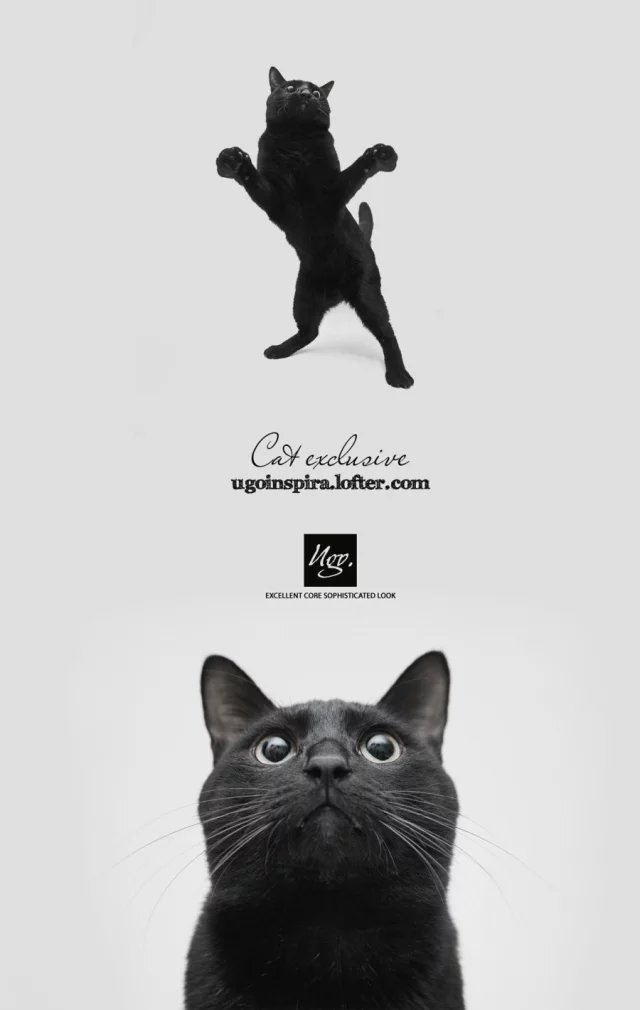 東威Davey的個(gè)人主頁(yè)（背景預(yù)覽） - 主頁(yè)背景設(shè)置 - 站酷設(shè)計(jì)師東威Davey原創(chuàng)素材 - 站酷ZCOOL