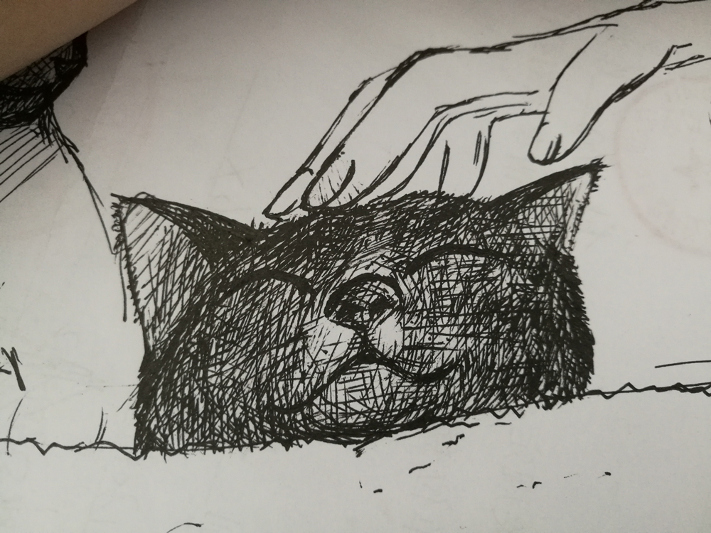 肉餅菜多多Li的個人主頁（背景預覽） - 主頁背景設置 - 站酷設計師肉餅菜多多Li原創(chuàng)素材 - 站酷ZCOOL