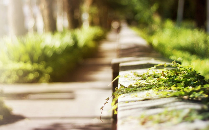 色彩color的个人主页（背景预览） - 主页背景设置 - 站酷设计师色彩color原创素材 - 站酷ZCOOL