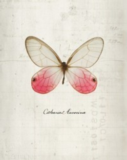 Sugar康康的个人主页（背景预览） - 主页背景设置 - 站酷设计师Sugar康康原创素材 - 站酷ZCOOL