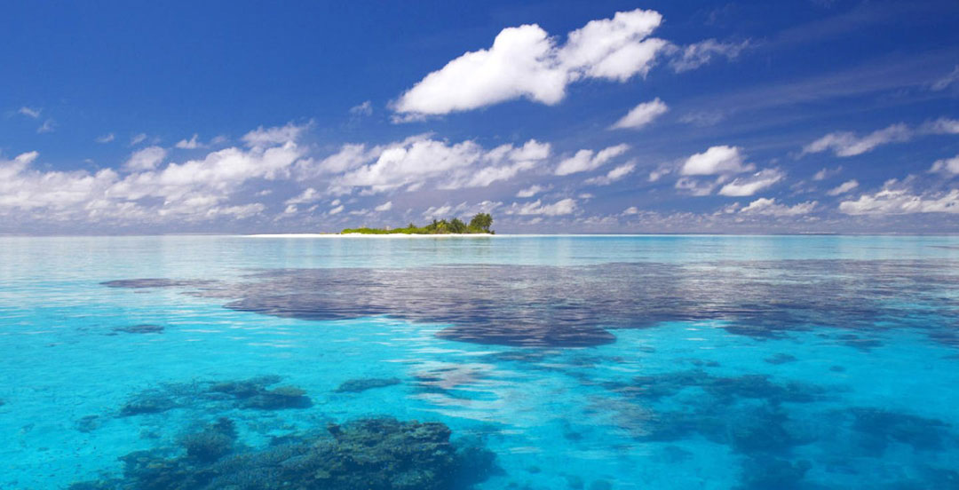 纯白衬衫的个人主页（背景预览） - 主页背景设置 - 站酷设计师纯白衬衫原创素材 - 站酷ZCOOL