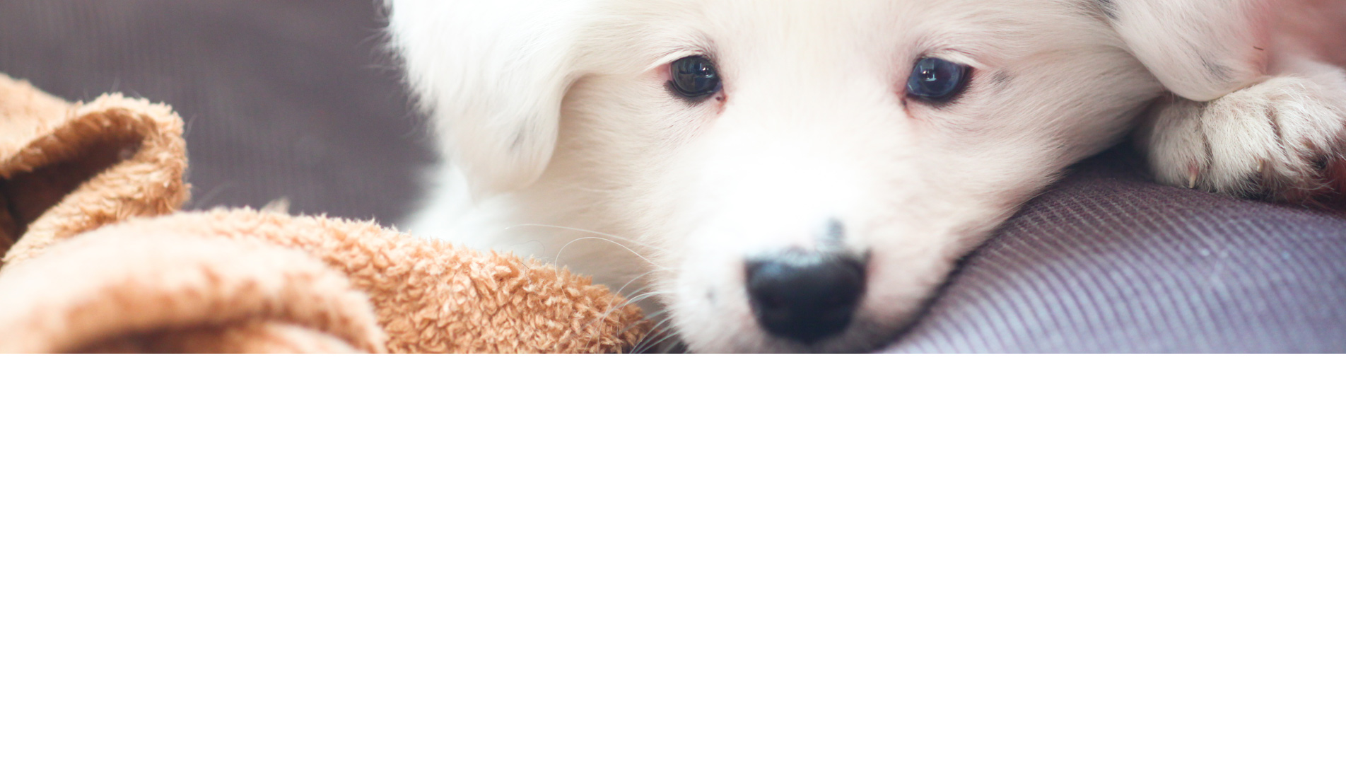 不正经的摄影师的个人主页（背景预览） - 主页背景设置 - 站酷设计师不正经的摄影师原创素材 - 站酷ZCOOL