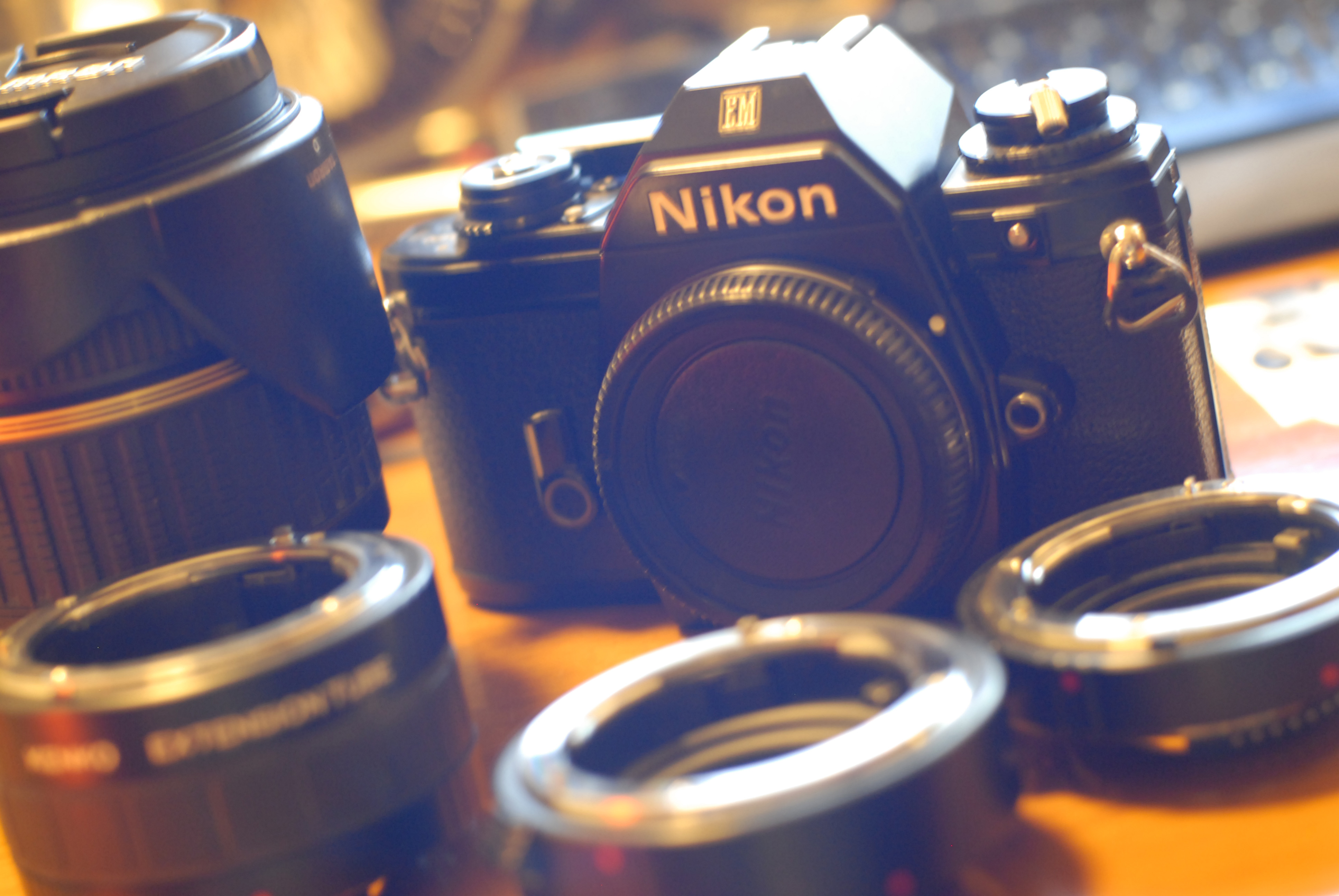 green82627的个人主页（背景预览） - 主页背景设置 - 站酷设计师green82627原创素材 - 站酷ZCOOL