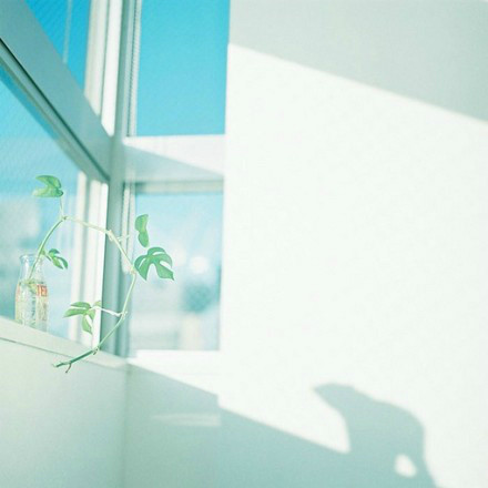 ZERO_澪的个人主页（背景预览） - 主页背景设置 - 站酷设计师ZERO_澪原创素材 - 站酷ZCOOL