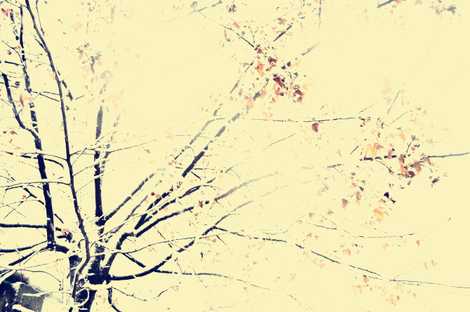 小五90的个人主页（背景预览） - 主页背景设置 - 站酷设计师小五90原创素材 - 站酷ZCOOL