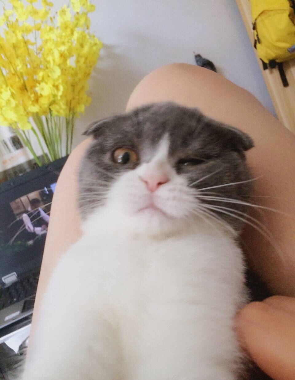 周咘咘的个人主页（背景预览） - 主页背景设置 - 站酷设计师周咘咘原创素材 - 站酷ZCOOL