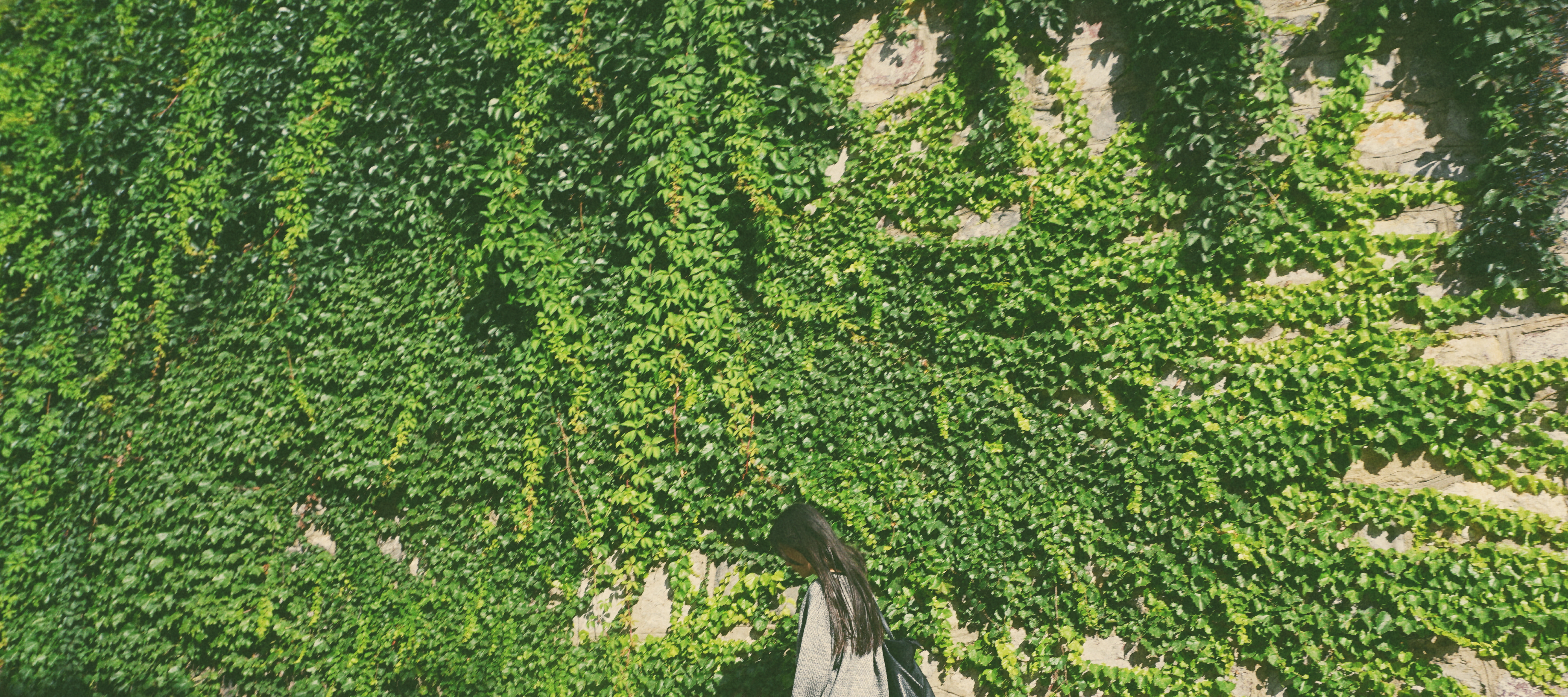 雞翅小熊的個(gè)人主頁（背景預(yù)覽） - 主頁背景設(shè)置 - 站酷設(shè)計(jì)師雞翅小熊原創(chuàng)素材 - 站酷ZCOOL