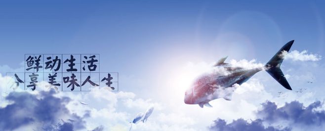 xyun186的个人主页（背景预览） - 主页背景设置 - 站酷设计师xyun186原创素材 - 站酷ZCOOL