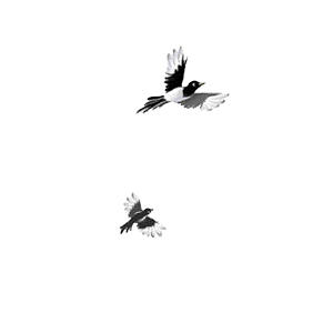 Venusaur的個(gè)人主頁（背景預(yù)覽） - 主頁背景設(shè)置 - 站酷設(shè)計(jì)師Venusaur原創(chuàng)素材 - 站酷ZCOOL