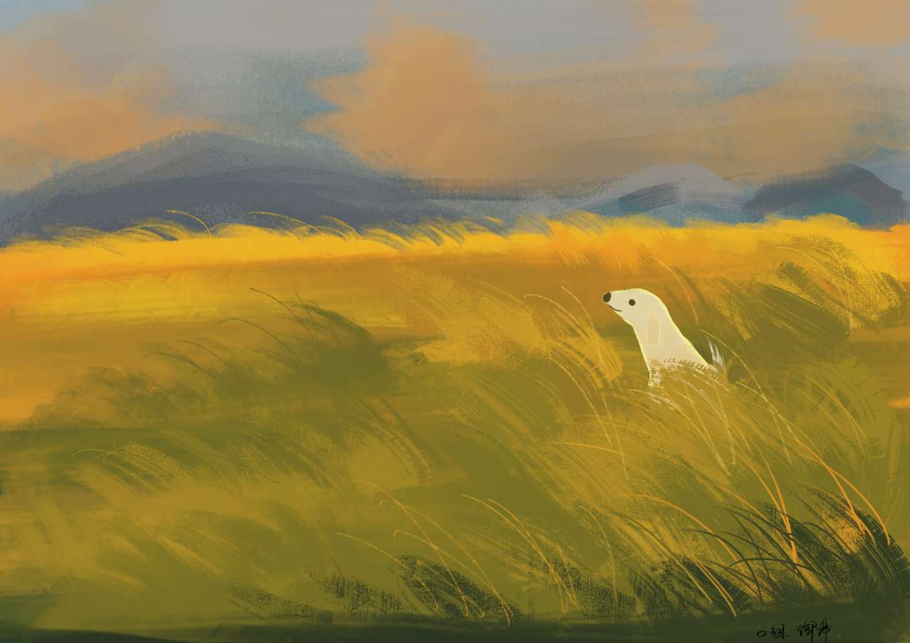 御小佛爺?shù)膫€(gè)人主頁(yè)（背景預(yù)覽） - 主頁(yè)背景設(shè)置 - 站酷設(shè)計(jì)師御小佛爺原創(chuàng)素材 - 站酷ZCOOL