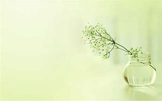 zyd的画本的个人主页（背景预览） - 主页背景设置 - 站酷设计师zyd的画本原创素材 - 站酷ZCOOL