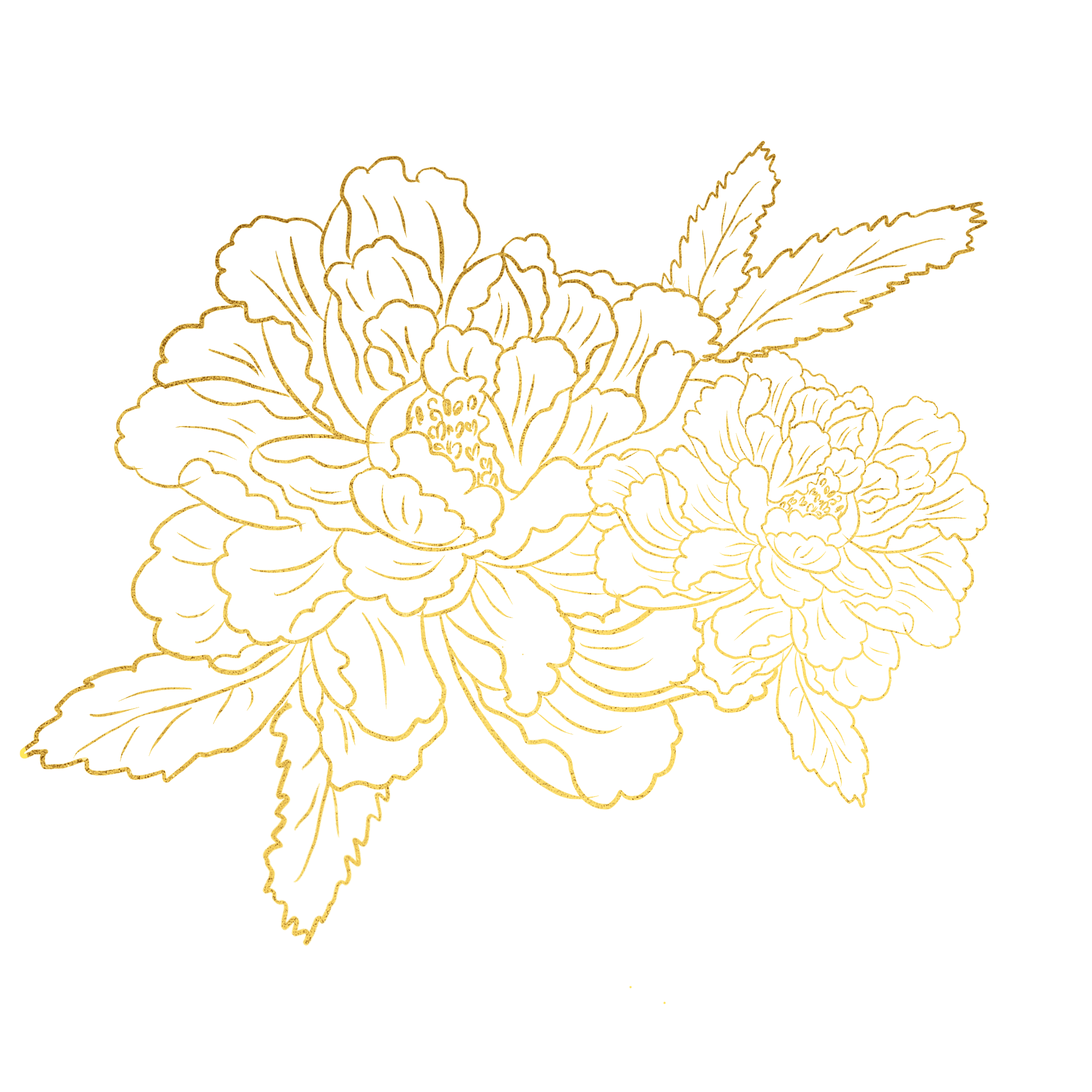 霸气的憨憨的个人主页（背景预览） - 主页背景设置 - 站酷设计师霸气的憨憨原创素材 - 站酷ZCOOL