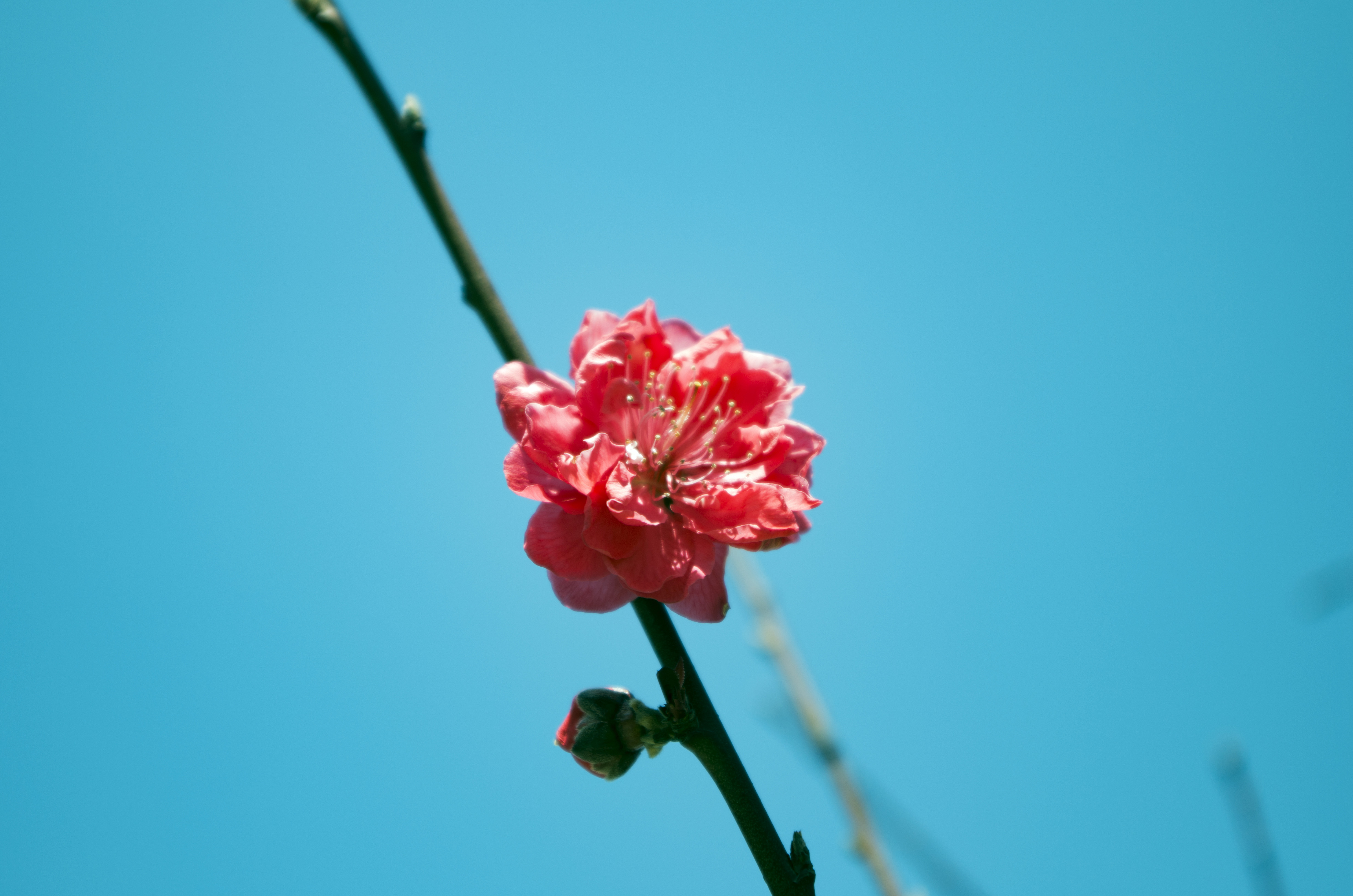 何邦將的個(gè)人主頁(yè)（背景預(yù)覽） - 主頁(yè)背景設(shè)置 - 站酷設(shè)計(jì)師何邦將原創(chuàng)素材 - 站酷ZCOOL