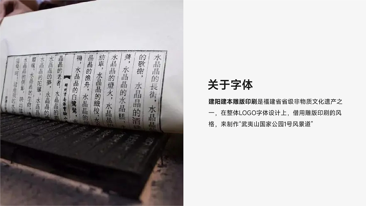 一览武夷-武夷山国家公园一号风景道