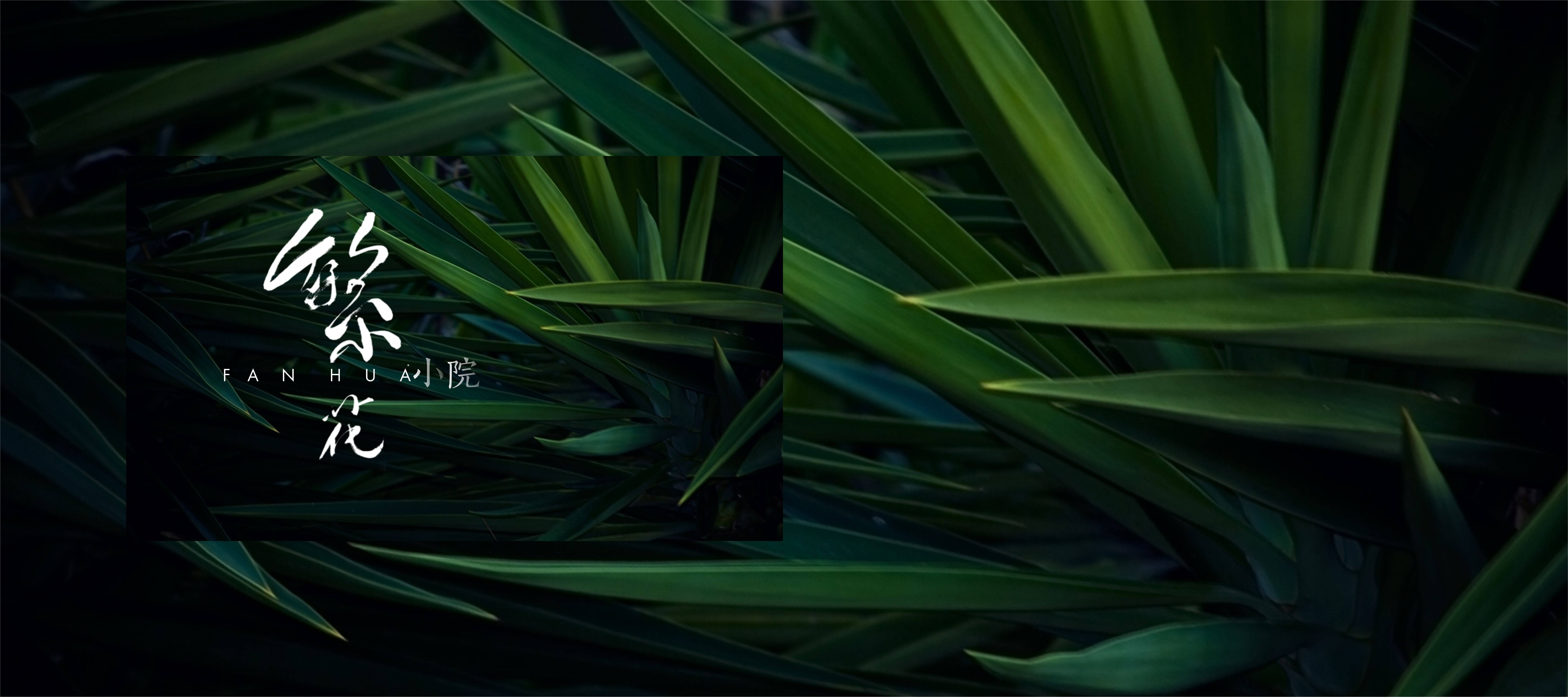 感官设计工作室的个人主页（背景预览） - 主页背景设置 - 站酷设计师感官设计工作室原创素材 - 站酷ZCOOL