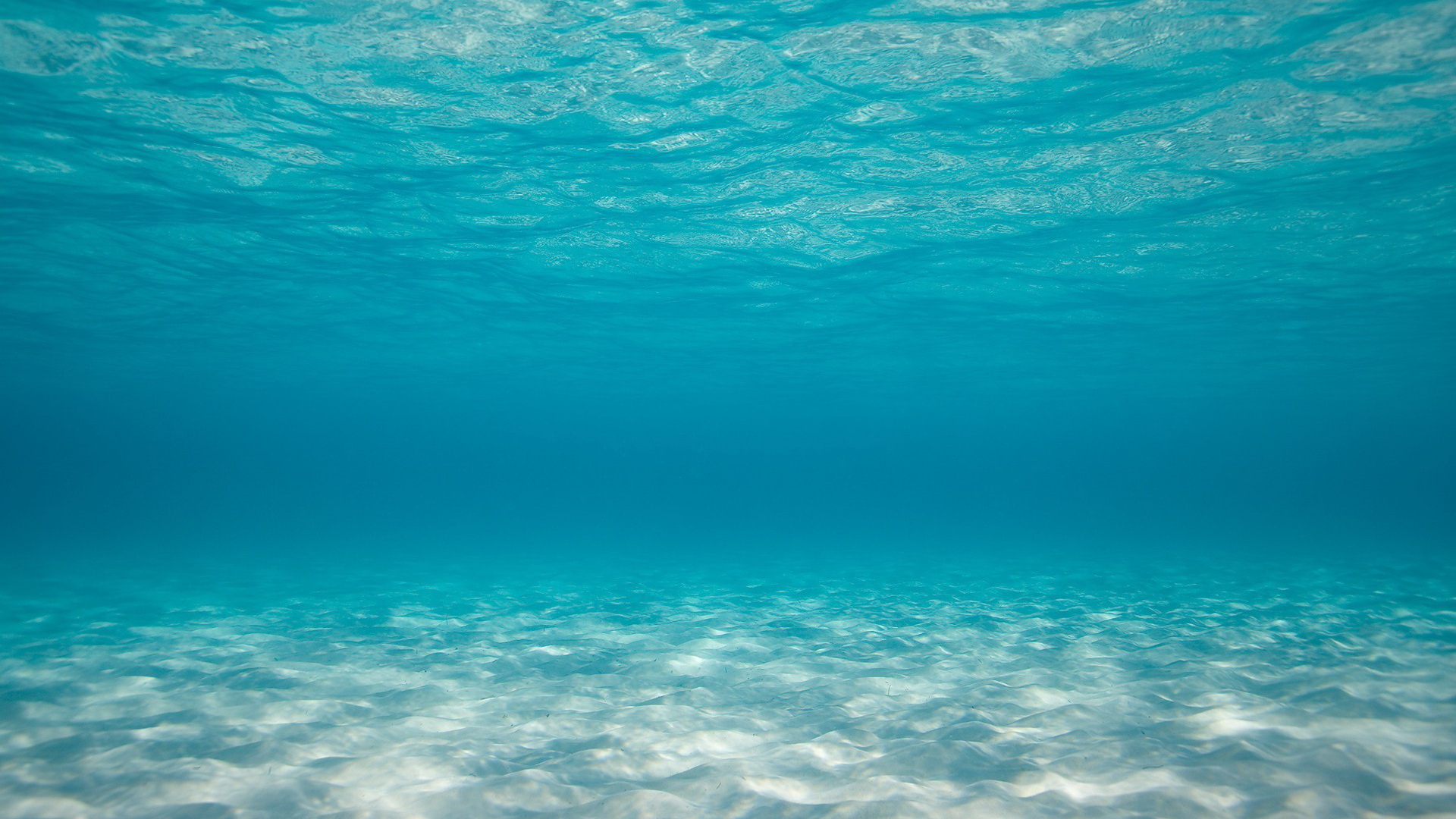 南喬_C的個人主頁（背景預(yù)覽） - 主頁背景設(shè)置 - 站酷設(shè)計師南喬_C原創(chuàng)素材 - 站酷ZCOOL