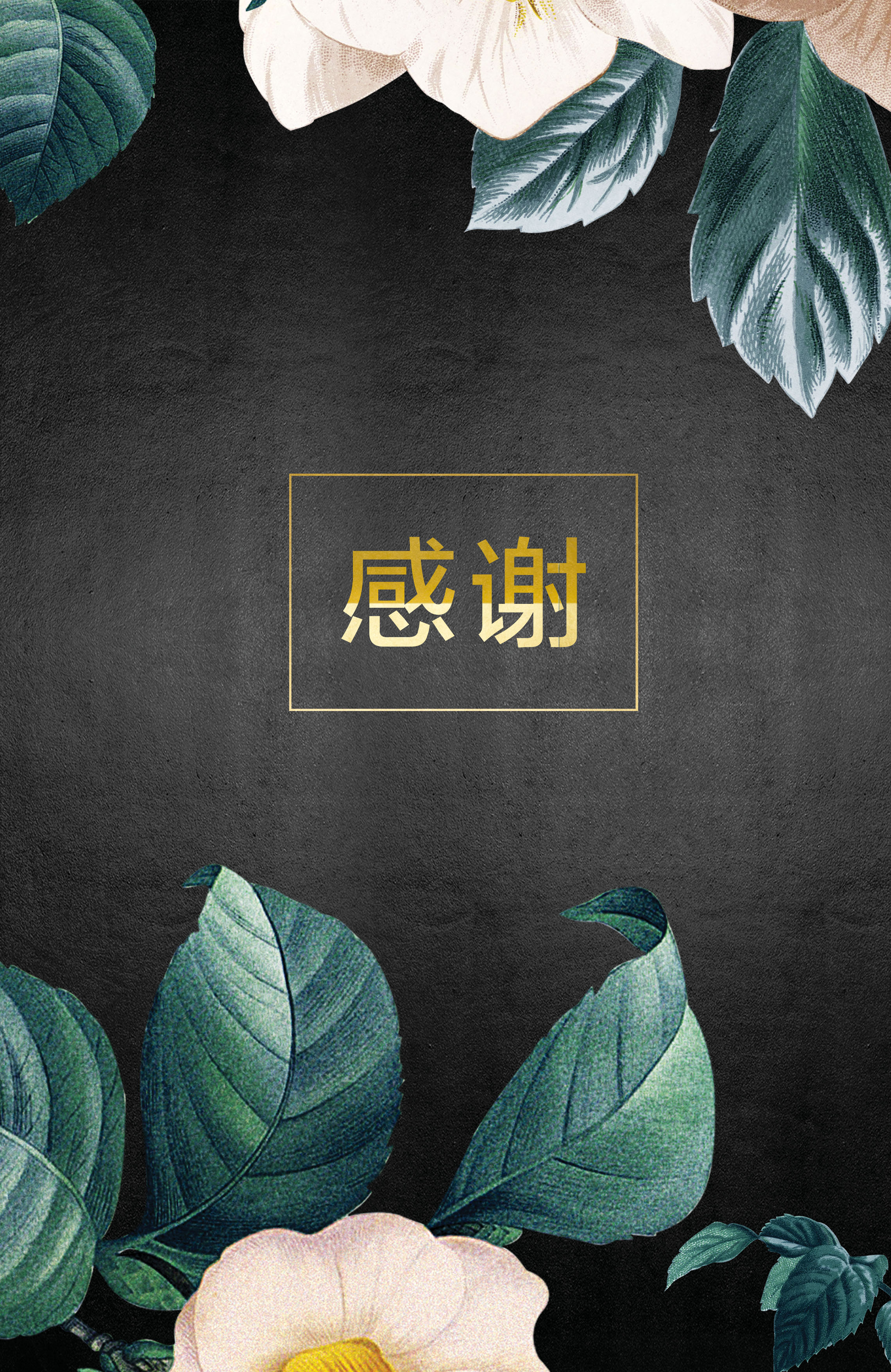 蓝小含的个人主页（背景预览） - 主页背景设置 - 站酷设计师蓝小含原创素材 - 站酷ZCOOL