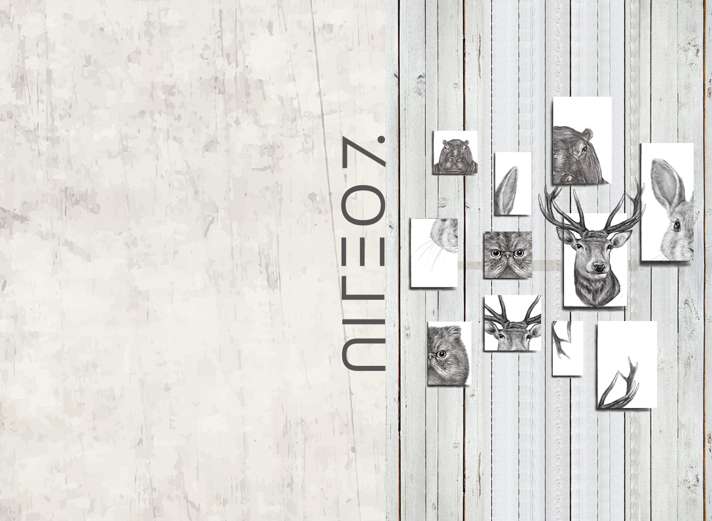 插画师刘喵喵zZoe的个人主页（背景预览） - 主页背景设置 - 站酷设计师插画师刘喵喵zZoe原创素材 - 站酷ZCOOL