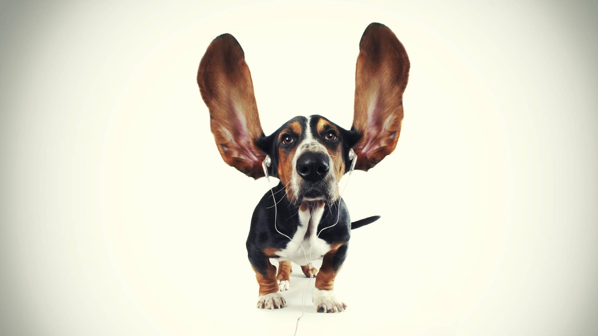 劉楊設計的个人主页（背景预览） - 主页背景设置 - 站酷设计师劉楊設計原创素材 - 站酷ZCOOL