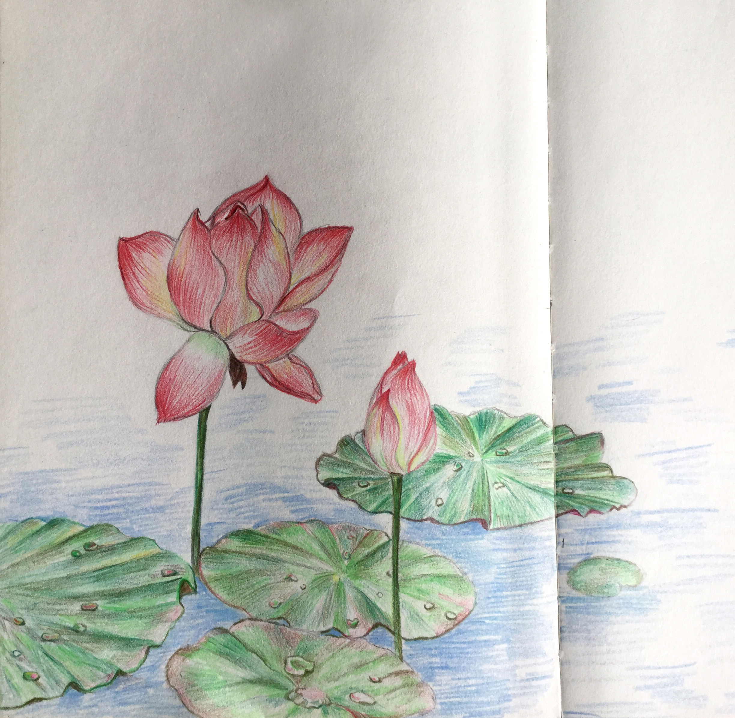 森91的个人主页（背景预览） - 主页背景设置 - 站酷设计师森91原创素材 - 站酷ZCOOL