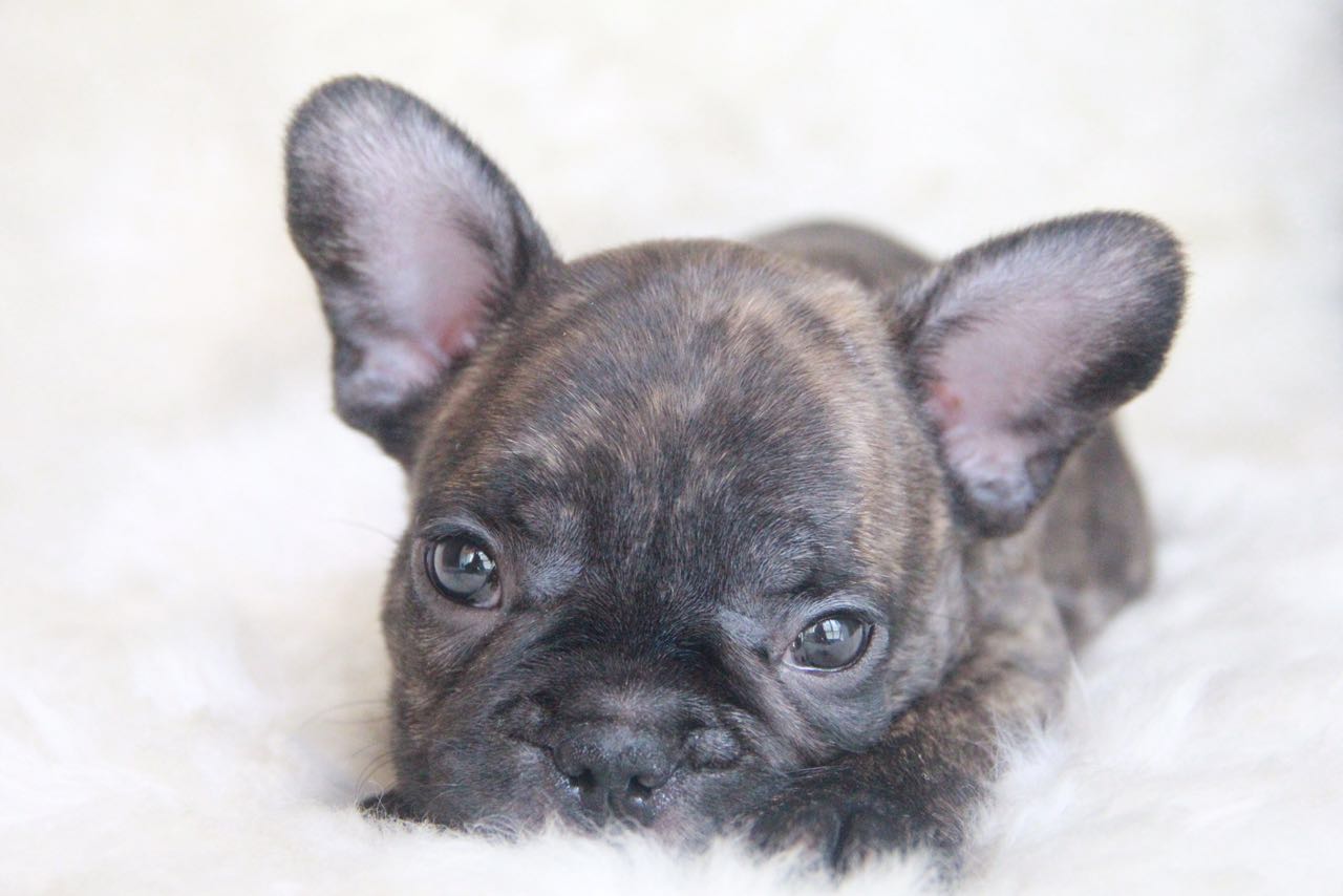 王思丹Stan的個人主頁（背景預(yù)覽） - 主頁背景設(shè)置 - 站酷設(shè)計師王思丹Stan原創(chuàng)素材 - 站酷ZCOOL