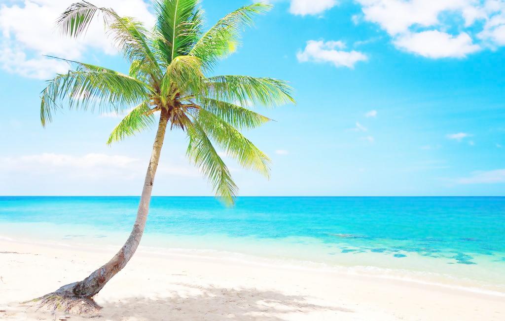 時光奧利奧的個人主頁（背景預(yù)覽） - 主頁背景設(shè)置 - 站酷設(shè)計(jì)師時光奧利奧原創(chuàng)素材 - 站酷ZCOOL