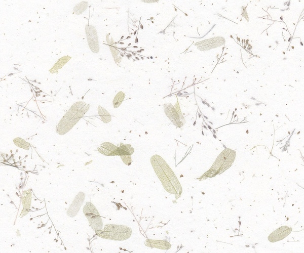 Chavez_繆的個(gè)人主頁(yè)（背景預(yù)覽） - 主頁(yè)背景設(shè)置 - 站酷設(shè)計(jì)師Chavez_繆原創(chuàng)素材 - 站酷ZCOOL