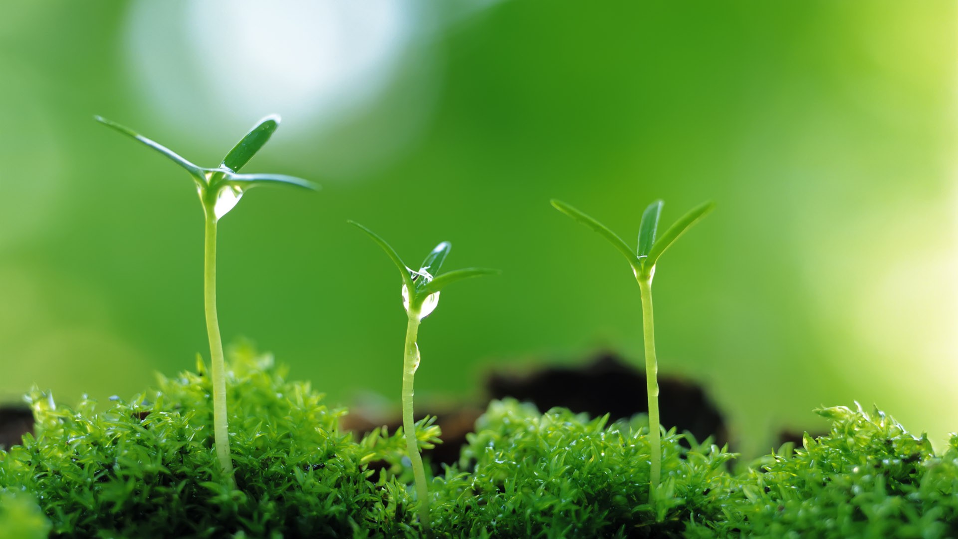 香草冰淇淋的个人主页（背景预览） - 主页背景设置 - 站酷设计师香草冰淇淋原创素材 - 站酷ZCOOL
