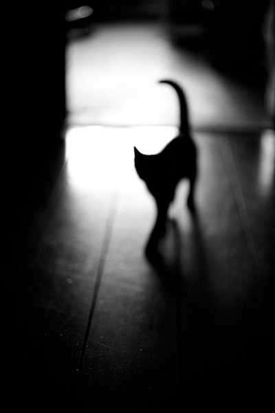 千夜绯红的个人主页（背景预览） - 主页背景设置 - 站酷设计师千夜绯红原创素材 - 站酷ZCOOL