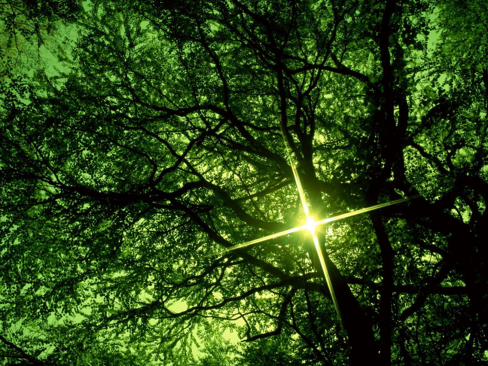 张梅仙的个人主页（背景预览） - 主页背景设置 - 站酷设计师张梅仙原创素材 - 站酷ZCOOL