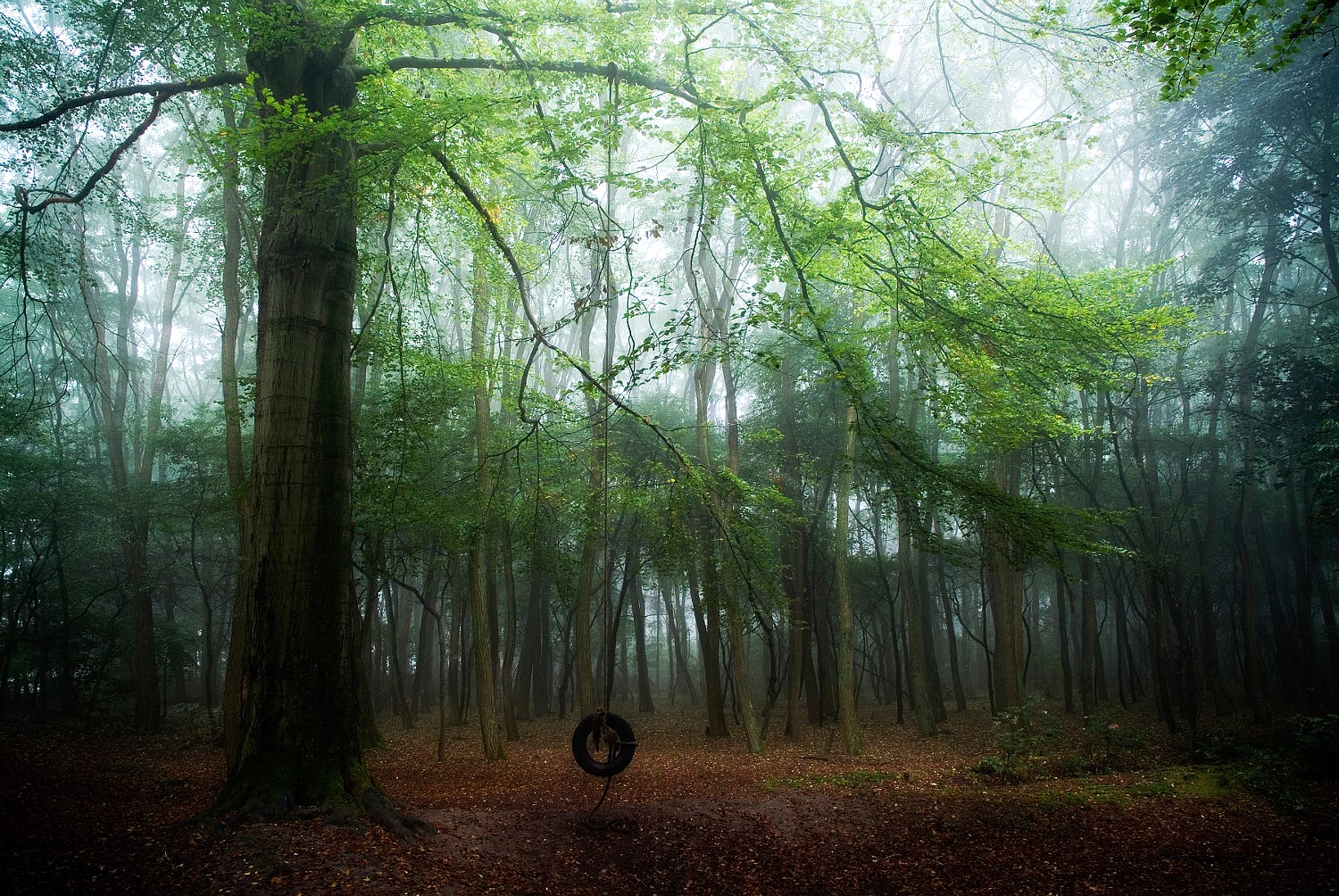 Rookie_sxk的個人主頁（背景預覽） - 主頁背景設(shè)置 - 站酷設(shè)計師Rookie_sxk原創(chuàng)素材 - 站酷ZCOOL