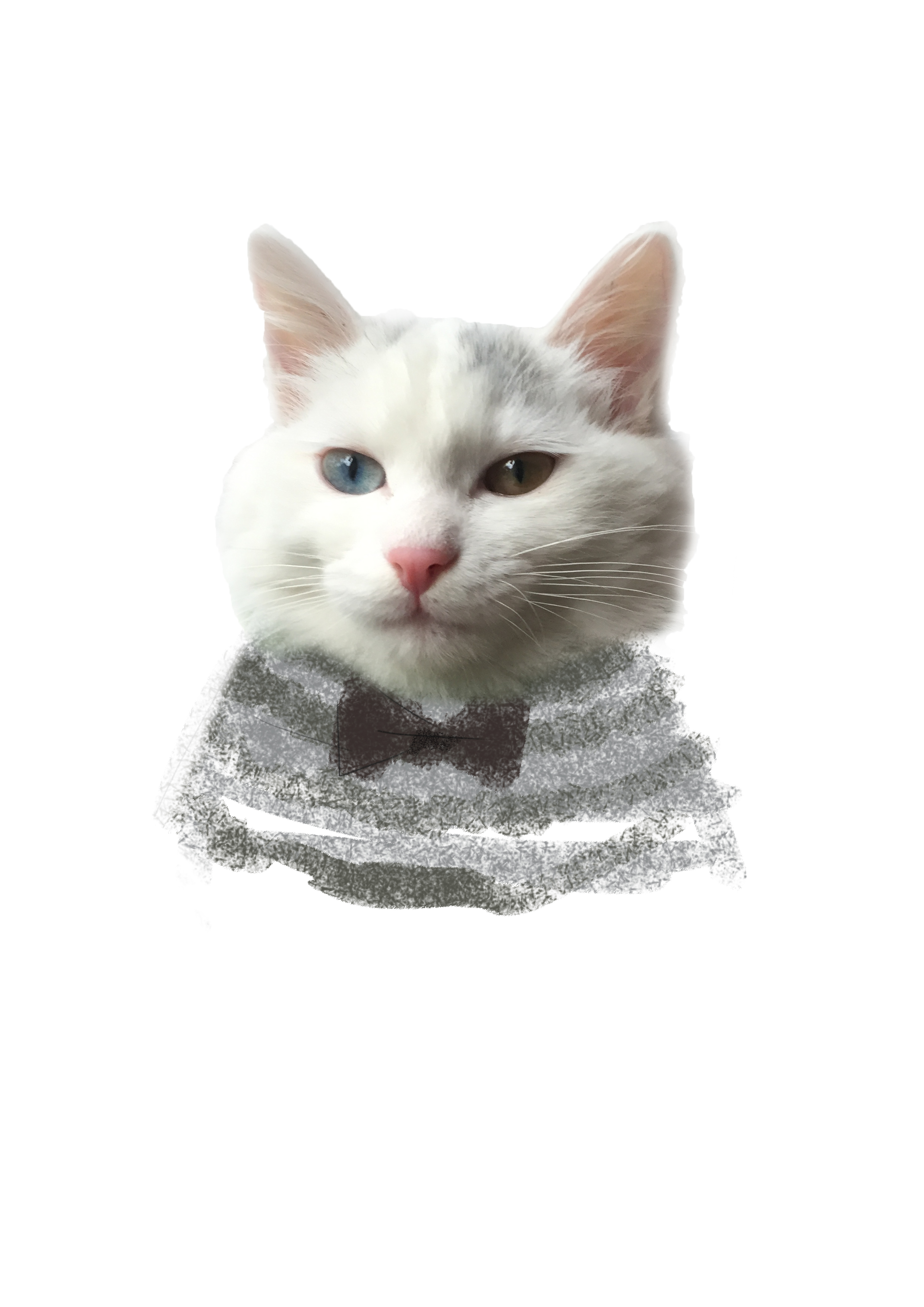 TENG了个喵的个人主页（背景预览） - 主页背景设置 - 站酷设计师TENG了个喵原创素材 - 站酷ZCOOL