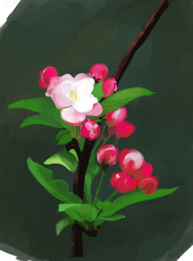 鼓鼓地风的个人主页（背景预览） - 主页背景设置 - 站酷设计师鼓鼓地风原创素材 - 站酷ZCOOL