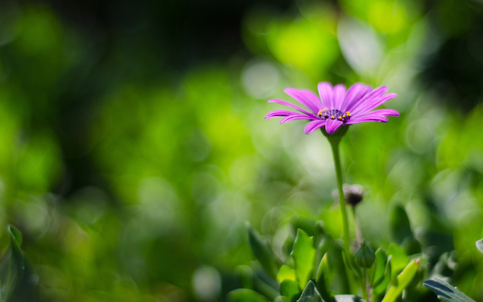 清风淡影的个人主页（背景预览） - 主页背景设置 - 站酷设计师清风淡影原创素材 - 站酷ZCOOL