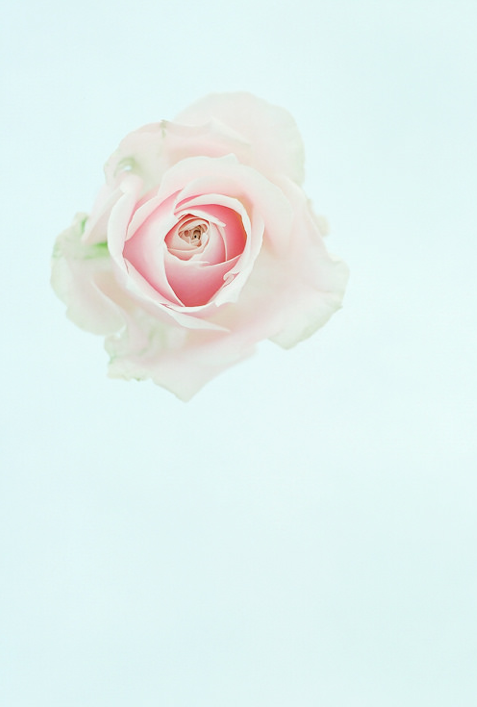 Qiven的個(gè)人主頁（背景預(yù)覽） - 主頁背景設(shè)置 - 站酷設(shè)計(jì)師Qiven原創(chuàng)素材 - 站酷ZCOOL